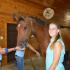 Meet the Veterinarians!